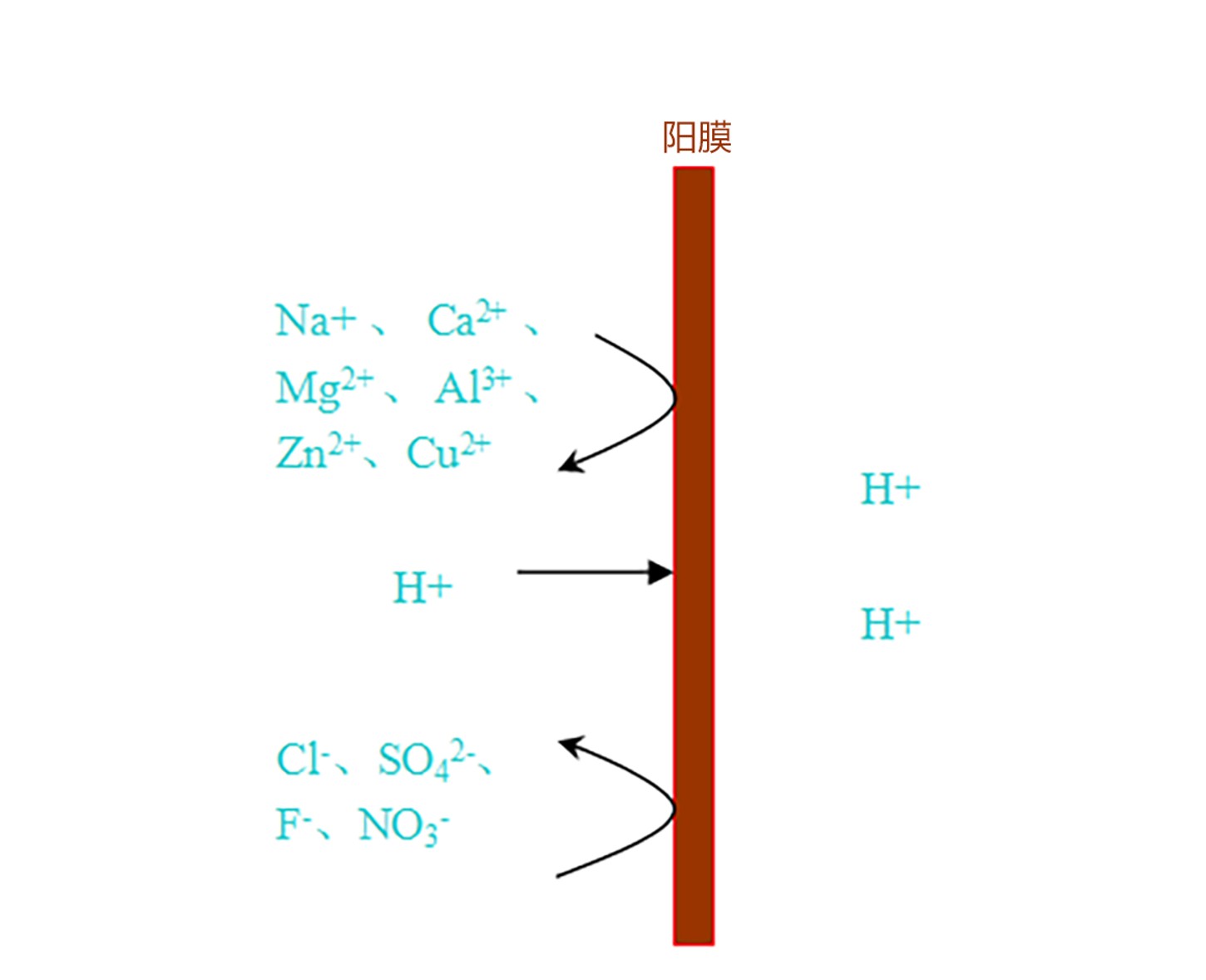 Hydrogen-Selective-Membrane