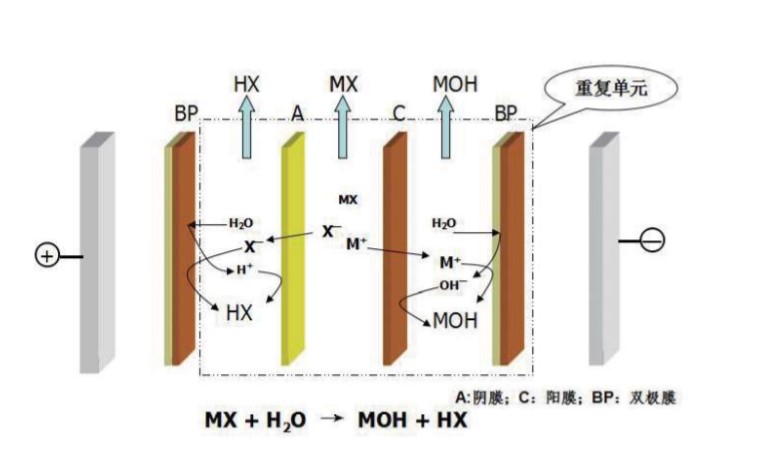 the bipolar ion exchange membrane