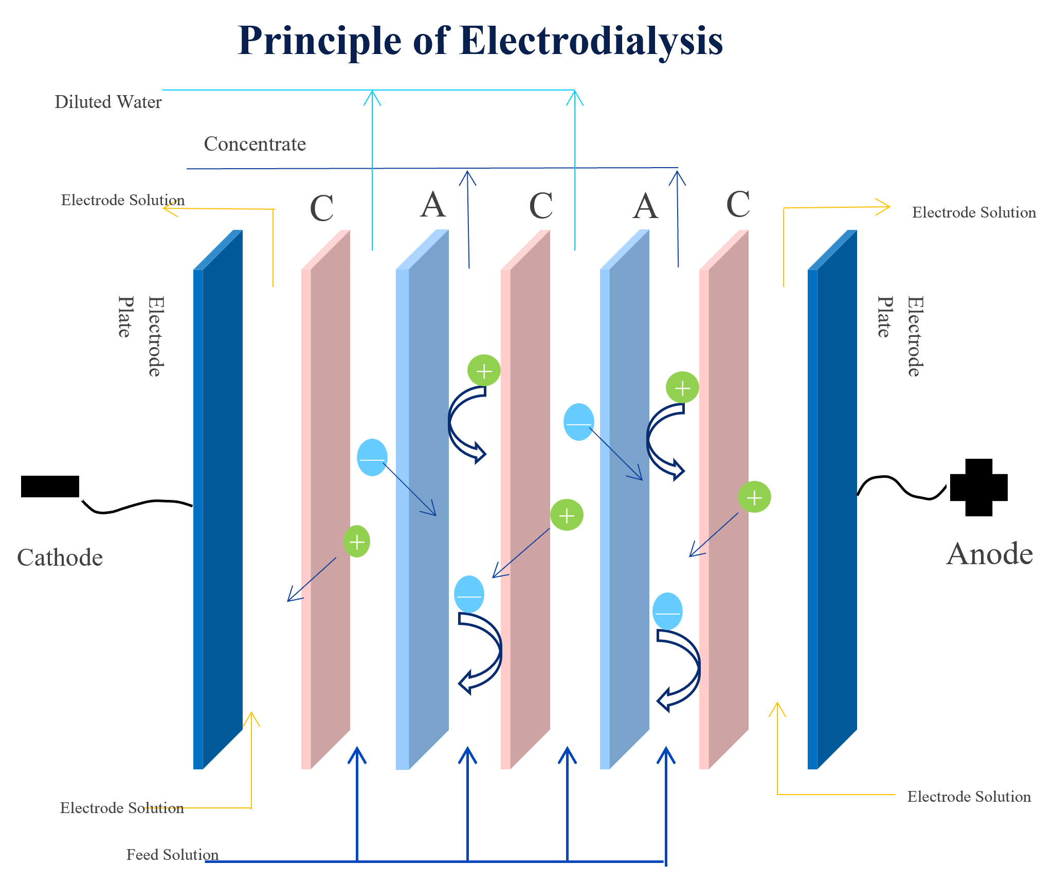 bipolar exchange membrane stack